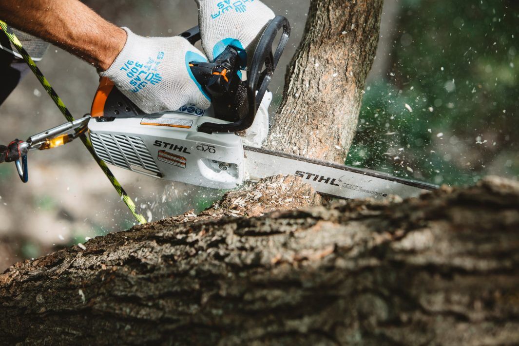 STIHL MS194 MS 194 T CHAINSAW