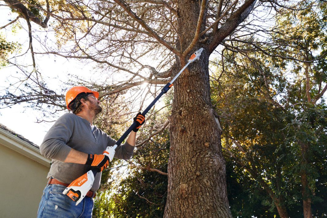 img (64) TACKLE PRUNING JOBS LIKE A PRO WITH THIS EXTENDED-REACH POLE PRUNER